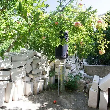 Stela
